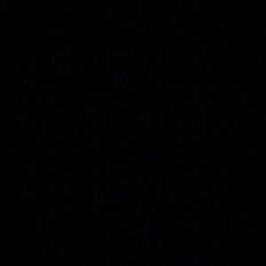 Meet your Posher, Diego